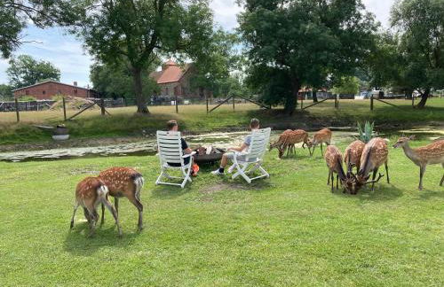 Gutshaus Pinnow - Foto 21