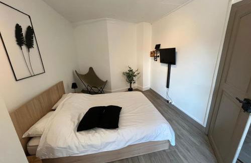 La cigogne rêveuse - Foto 28