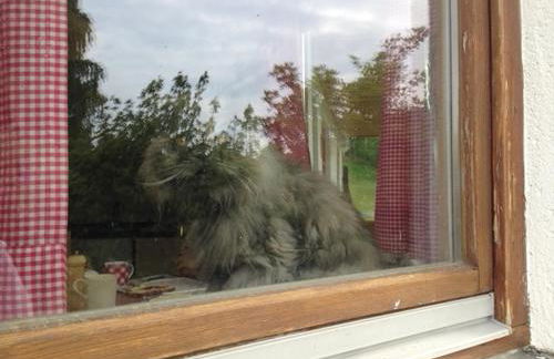 Ferienhaus zur Thusstrasse - Foto 20