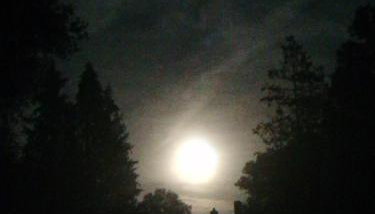 Lippoldsstube - Foto 4