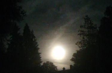 Lippoldsstube - Foto 4