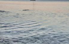 PLOMIN SKY&BAY - Foto 48