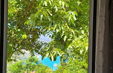 Sofias house at Agkona Kefalonia - Foto 51
