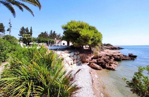 Bella Palace, Apartamento acogedor junto al mar - Foto 25