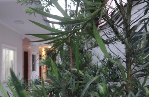 BORA BORA RESIDENCE - Photo 59