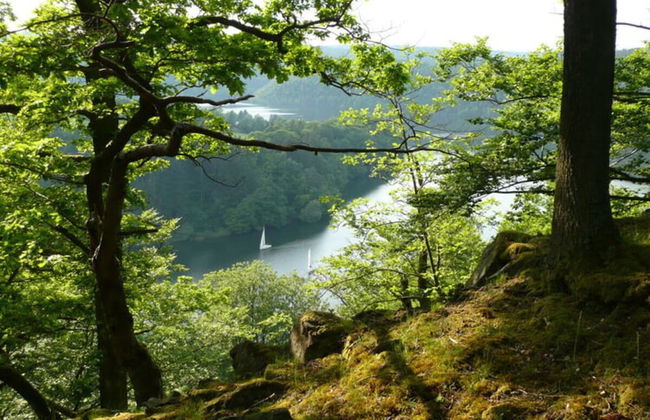 Holiday Home Naturally Good - Foto 20