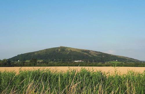 Grove Lodge, Contemporary Cabin in Mendip Hills - Foto 3