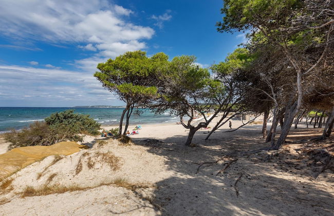 2517 Villetta Lido La Pineta by Barbarhouse - Foto 14