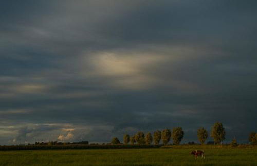 Haus Horizont - Foto 47