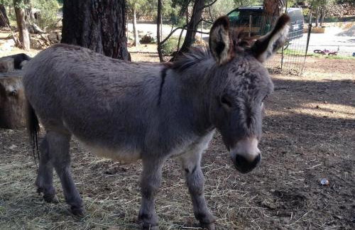 L'Autre Perle, balnéo en supplément, le Clos des Perles - Foto 48