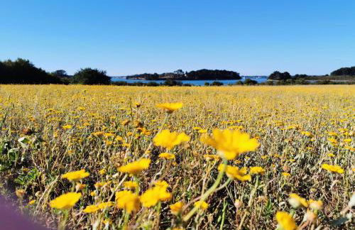 Maison familiale en bord de mer - Foto 17