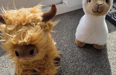 Tequila Sunrise - Foto 11