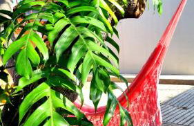 Pousada Aconchego Vitória D - Foto 13