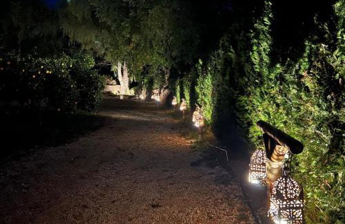 FINCA ALMAZARA - Foto 45