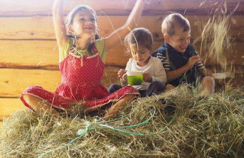 Wunderschöne 3-Zimmerwohnung auf dem Bauernhof - Foto 24