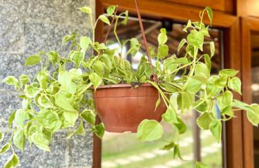 Chalé Belmont - Santa Teresa - Foto 16