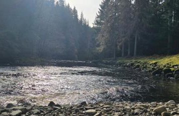 Mike's 3-bedroom Countryside Cottage - Foto 39