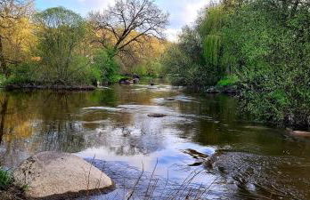 Maison Cosy Rénovée - Puy du Fou - Photo 19