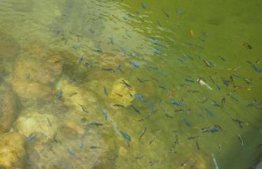 Île de Pipa - Flat Resort - Foto 18