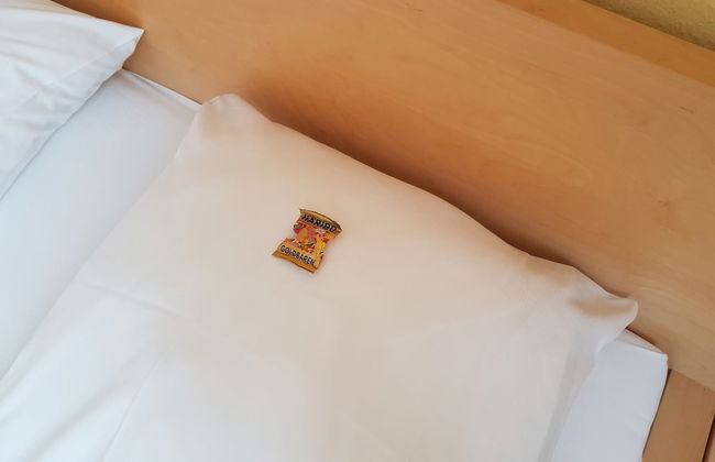 Nauwieser Apartments - Foto 17