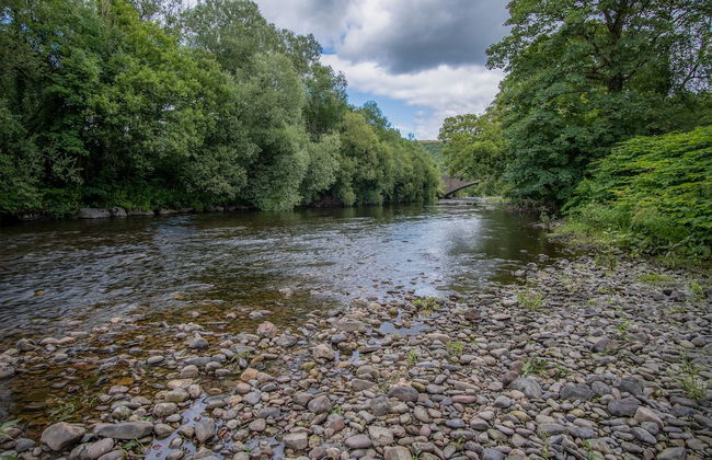 Wern Y Glais - 2 Bedroom Cottage - Glais - Photo 48