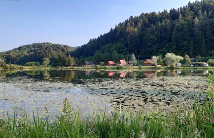 Domek letniskowy nad stawem Temeszów Bieszczady - Foto 19