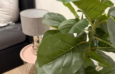 NEU Goldstadt Luxe Studio- City Apartment Schlössle - Photo 6