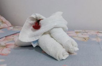 Casa Paraíso das Conchas - Foto 51