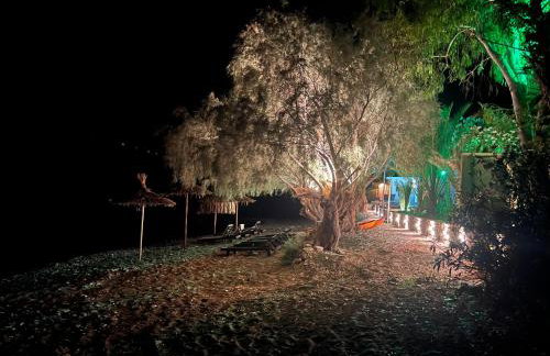 Nikkon Luxury Living - Foto 47