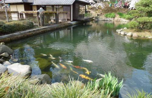 Ferienwohnung zwischen Wald und Reben - Foto 22