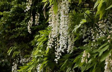 Cotswolds Escape - Foto 16