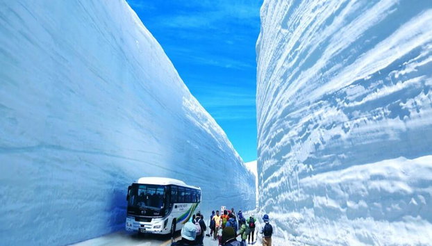 Découvrez les parois de neige du mont Tateyama et des Hautes Terres - Excursion d'une journée - Photo 3