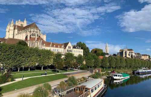 Maison des Pilastres au cœur d'Auxerre - Foto 21