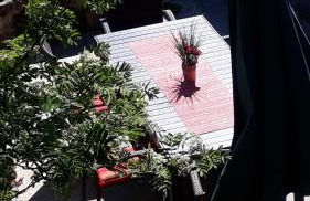 Ferienhof Zollfrank - Foto 24