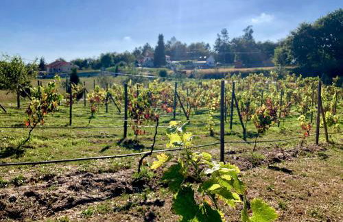 Casa da Quinta da Prelada Simão - Foto 12
