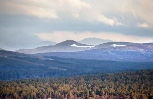 MacKintosh - Foto 17