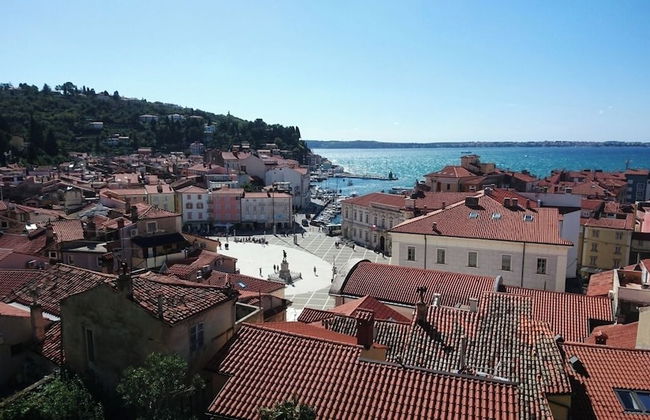 Apartments Amavi - Foto 50