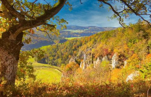 Holiday apartment with 1 bedroom - Foto 20