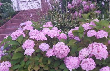 Leśne Zacisze Kretowiny 88 nad jeziorem Narie z własnymi pomostami apartamenty sezonowe lato - Foto 23