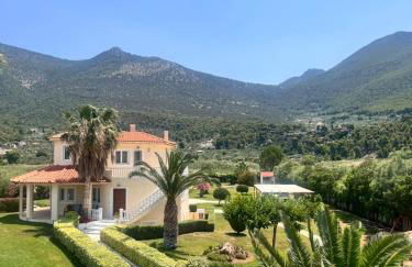 Psatha Villa's - Foto 18