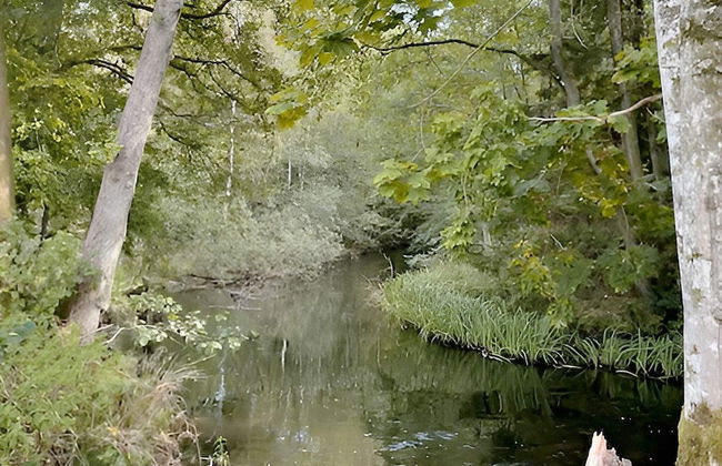 4 Star Holiday Home in Tvaaker-by Traum - Foto 24