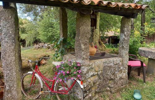 Veiga Mariña - Foto 36