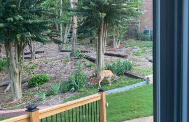 Serenity 264 - Photo 24