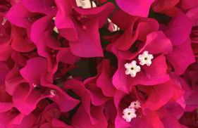 Pelagos Seafront Accommodation - George - Foto 26