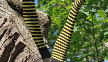 Ferienwohnung Frau Hansen - Foto 2