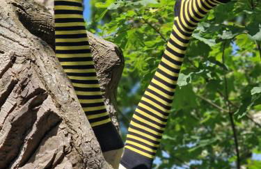 Ferienwohnung Frau Hansen - Foto 2