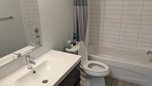 Beautiful 2 Bedroom Apt in downtown silverspring - Photo 4