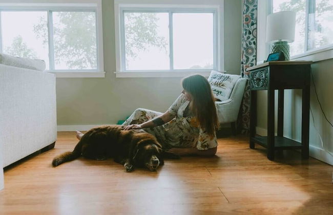 Little Landing Cottage-gorgeous View BBQ Wi-fi - Photo 22