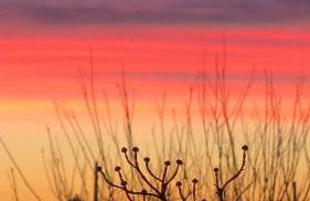 Agriturismo L'Albara - Wines, Pool & SPA - Foto 30