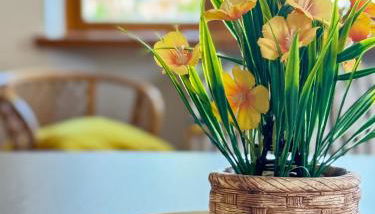 Residenza Bouganville - Foto 3